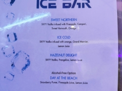 Ice Bar picture