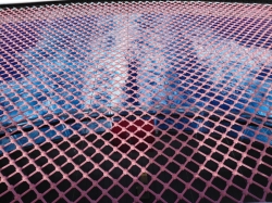 The Net picture