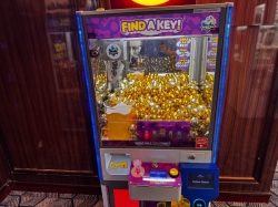 Sky Princess Churchills Arcade picture