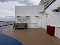 Sky Princess Jogging Track picture