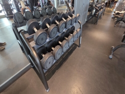 MSC World Europa MSC Gym picture