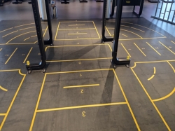 MSC World Europa MSC Gym picture