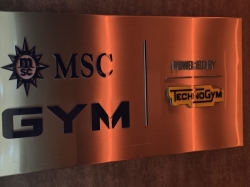MSC World Europa MSC Gym picture