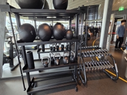 MSC World Europa MSC Gym picture