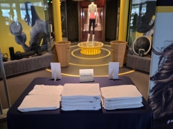 MSC World Europa MSC Gym picture