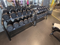 MSC World Europa MSC Gym picture