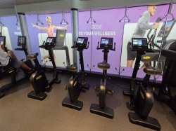 MSC World Europa MSC Gym picture
