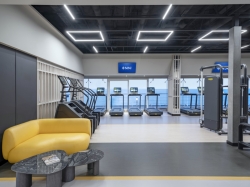 MSC Gym picture