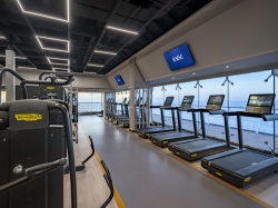 MSC Gym picture