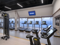 MSC Gym picture