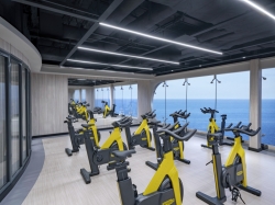 MSC Gym picture