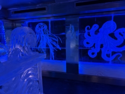 Ice Bar picture
