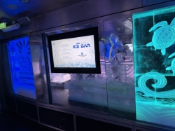 Ice Bar picture
