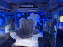 Ice Bar picture