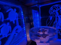Ice Bar picture