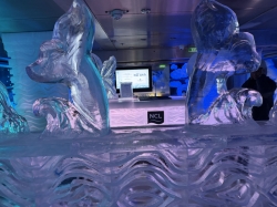 Ice Bar picture