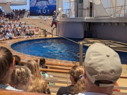 Aqua Theater picture