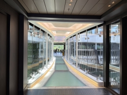MSC World America La Brasserie Buffet picture