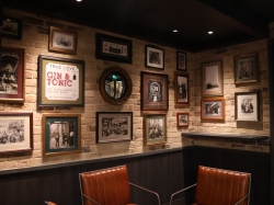 MSC World America Gin Project picture
