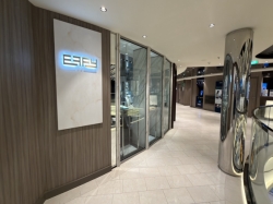 MSC World America Fine Jewellery picture