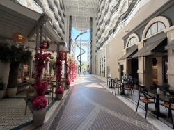 MSC World America World Promenade picture