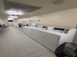 Majestic Princess Laundry picture