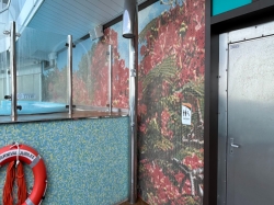 Carnival Jubilee Havana Pool picture