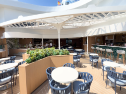 Legend of the Seas Grove Suite Sun Deck picture