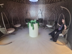 MSC Poesia MSC Aurea Spa picture