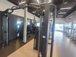 MSC Poesia MSC Gym picture