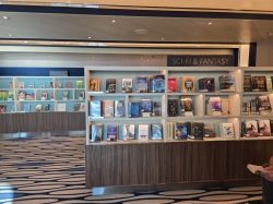 Nieuw Statendam Library picture