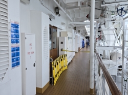 Nieuw Statendam Promenade Deck picture Uploaded in 2026 Photo courtesy of Celeste Agnew. Nieuw Statendam Promenade Deck picture