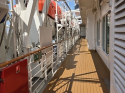 Nieuw Statendam Promenade Deck picture Uploaded in 2026 Photo courtesy of Celeste Agnew. Nieuw Statendam Promenade Deck picture