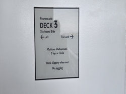 Nieuw Statendam Promenade Deck picture Uploaded in 2026 Photo courtesy of Celeste Agnew. Nieuw Statendam Promenade Deck picture