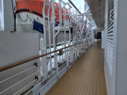 Nieuw Statendam Promenade Deck picture Uploaded in 2026 Photo courtesy of Celeste Agnew. Nieuw Statendam Promenade Deck picture