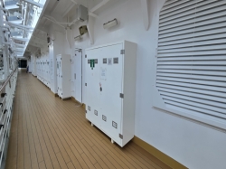 Nieuw Statendam Promenade Deck picture Uploaded in 2026 Photo courtesy of Celeste Agnew. Nieuw Statendam Promenade Deck picture
