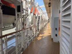 Nieuw Statendam Promenade Deck picture Uploaded in 2026 Photo courtesy of Celeste Agnew. Nieuw Statendam Promenade Deck picture