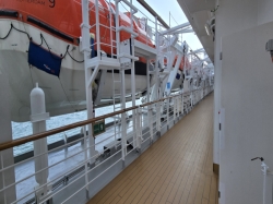 Nieuw Statendam Promenade Deck picture Uploaded in 2026 Photo courtesy of Celeste Agnew. Nieuw Statendam Promenade Deck picture