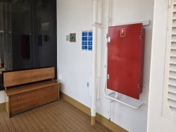 Nieuw Statendam Promenade Deck picture Uploaded in 2026 Photo courtesy of Celeste Agnew. Nieuw Statendam Promenade Deck picture