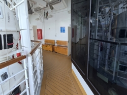 Nieuw Statendam Promenade Deck picture Uploaded in 2026 Photo courtesy of Celeste Agnew. Nieuw Statendam Promenade Deck picture