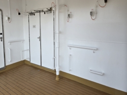 Nieuw Statendam Promenade Deck picture Uploaded in 2026 Photo courtesy of Celeste Agnew. Nieuw Statendam Promenade Deck picture