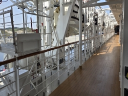 Nieuw Statendam Promenade Deck picture Uploaded in 2026 Photo courtesy of Celeste Agnew. Nieuw Statendam Promenade Deck picture