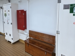 Nieuw Statendam Promenade Deck picture