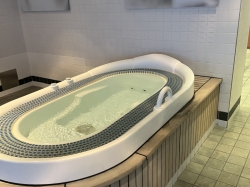 Norwegian Gem Spa & Salon picture