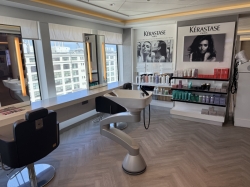Salon picture