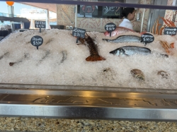 Seafood Shack picture