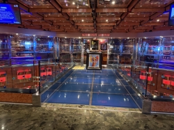 Carnival Dream Burgundy Aft Lounge picture