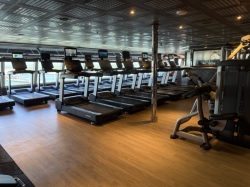 Carnival Dream Fitness Center picture