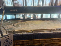 Carnival Dream Thalassotherapy Pool picture Uploaded in 2026 Photo courtesy of Scott Weinfeld. Carnival Dream Thalassotherapy Pool picture