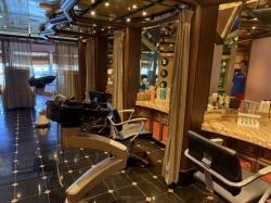 Carnival Dream Salon picture